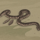 Illustration for article titled emCryptozoologicon/em Could Revolutionize the Field of Monster Studies